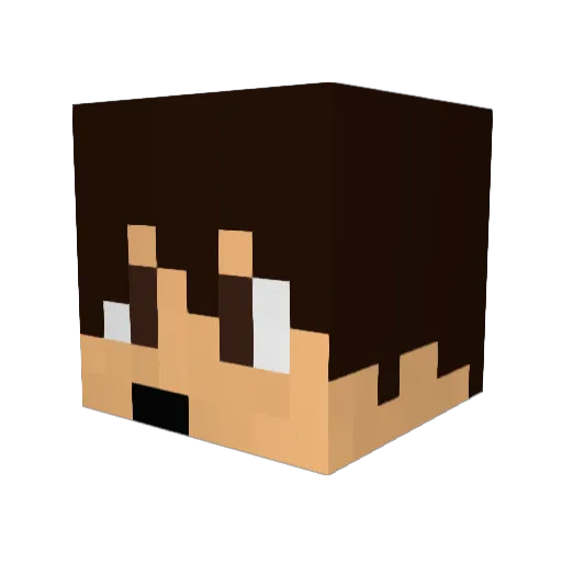 T0ysRUs Minecraft avatar head, 3D render