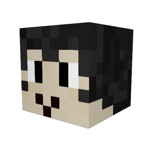 T1CSI Minecraft avatar head, 3D render