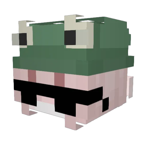 T1KZ_ Minecraft avatar head, 3D render