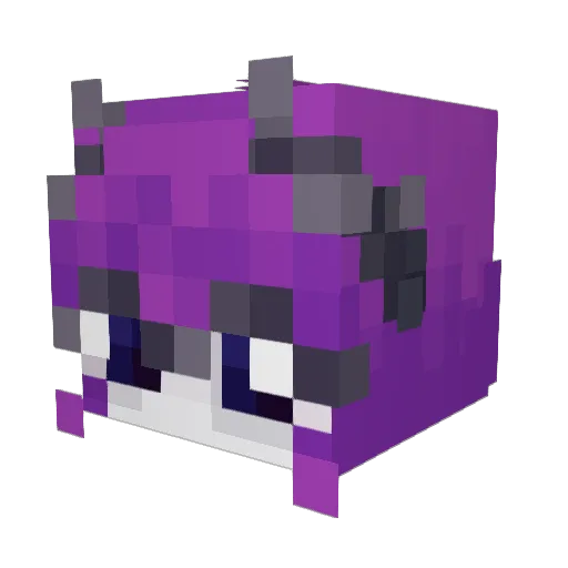 T1NK4chen Minecraft avatar head, 3D render