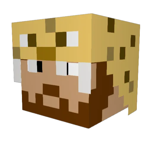T1O Minecraft avatar head, 3D render