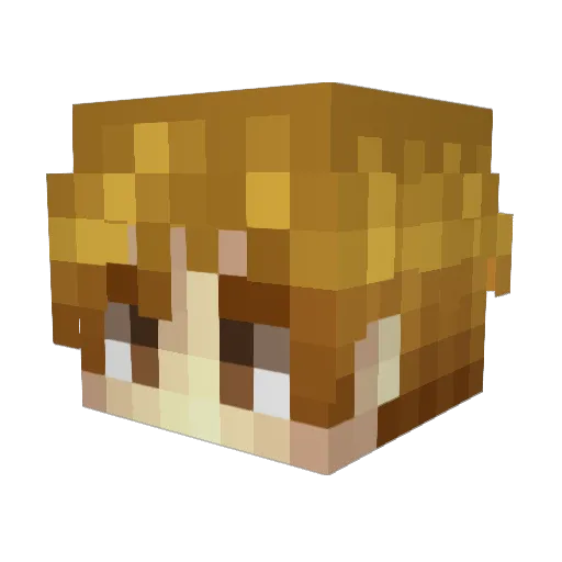 T1Stary Minecraft avatar head, 3D render