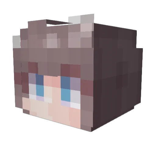 T1__Teddy Minecraft avatar head, 3D render