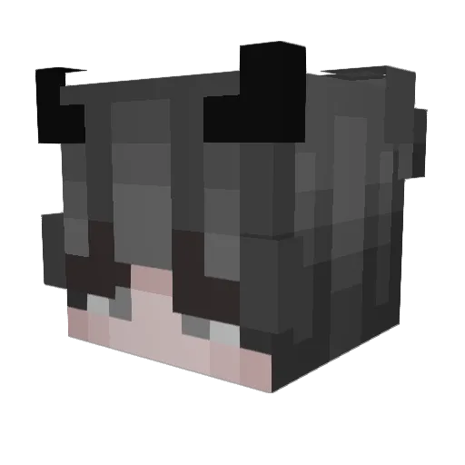 T1dalWav3 Minecraft avatar head, 3D render