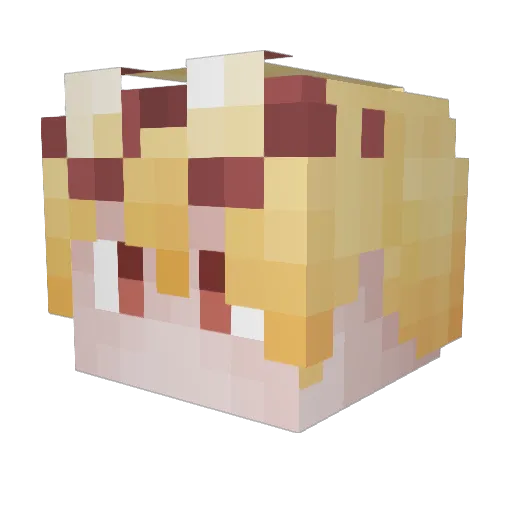 T1mm1e Minecraft avatar head, 3D render