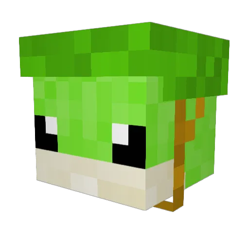 T1ngey Minecraft avatar head, 3D render