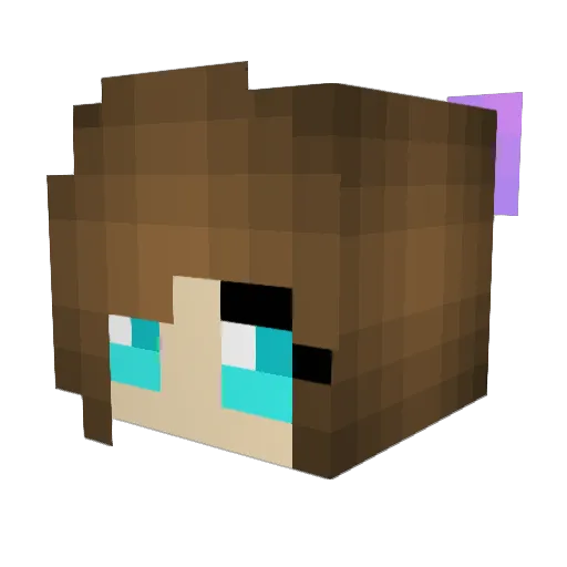 T1nk3rb3ll004 Minecraft avatar head, 3D render