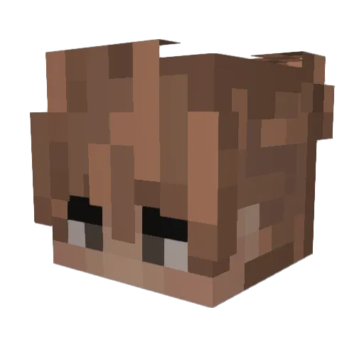T1nobaneeno Minecraft avatar head, 3D render