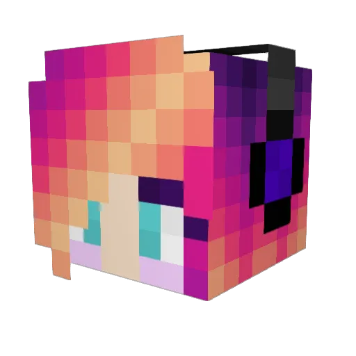 T1np4nN Minecraft avatar head, 3D render