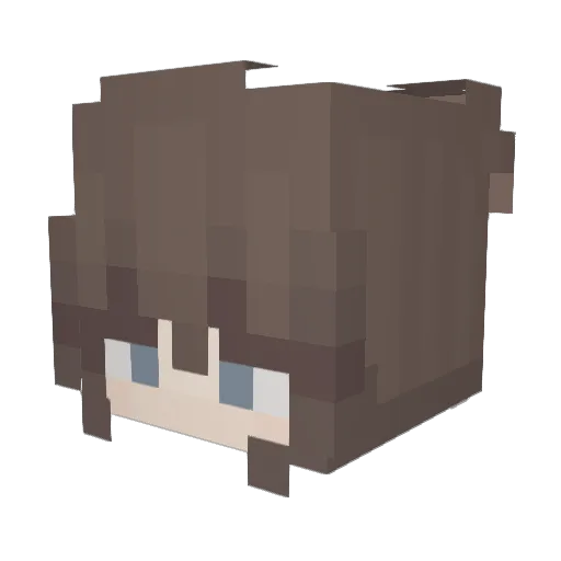 T1nuskaa Minecraft avatar head, 3D render