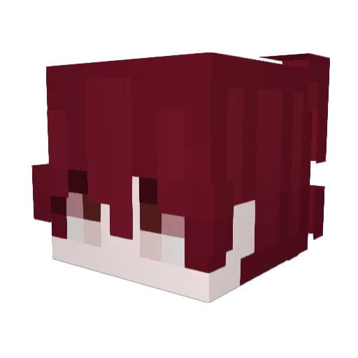 T1nyBear3 Minecraft avatar head, 3D render