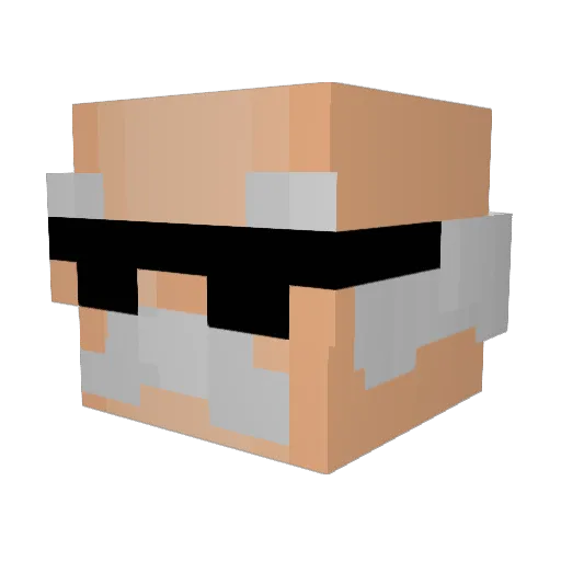 T1xxy Minecraft avatar head, 3D render