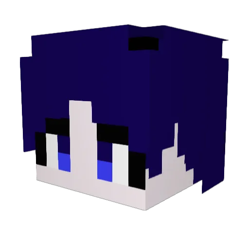 T22M_o Minecraft avatar head, 3D render