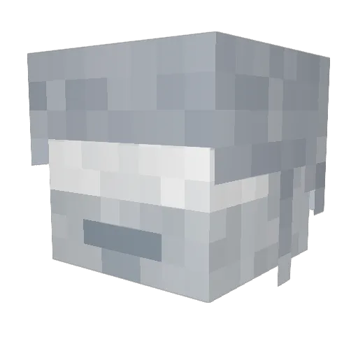 T25Tunes Minecraft avatar head, 3D render