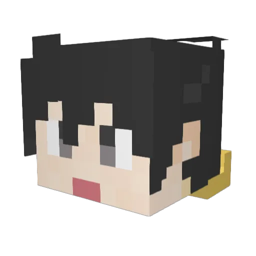 T260 Minecraft avatar head, 3D render