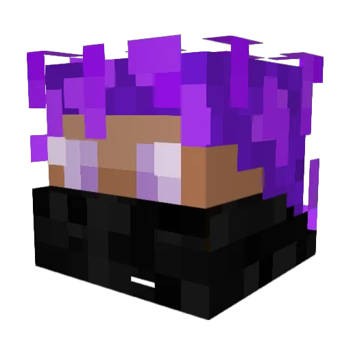 T2Chilli9538 Minecraft avatar head, 3D render
