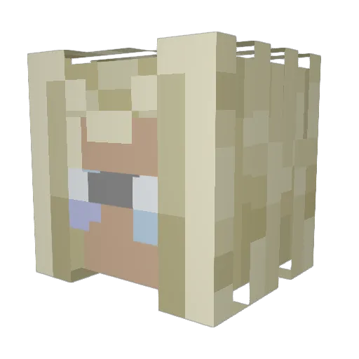 T2RE Minecraft avatar head, 3D render