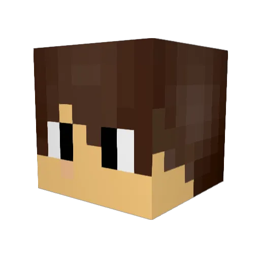 T2Smiles Minecraft avatar head, 3D render