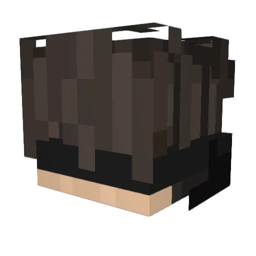 T2Vetueex Minecraft avatar head, 3D render