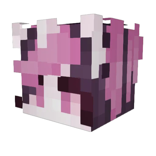 T33thJuice Minecraft avatar head, 3D render