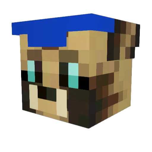 T3MP0R4RY Minecraft avatar head, 3D render