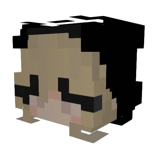 T3NA Minecraft avatar head, 3D render