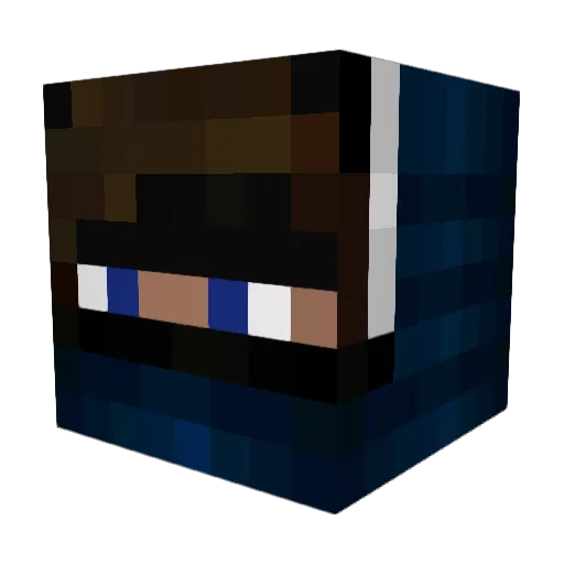 T3RM1NATOR_052 Minecraft avatar head, 3D render