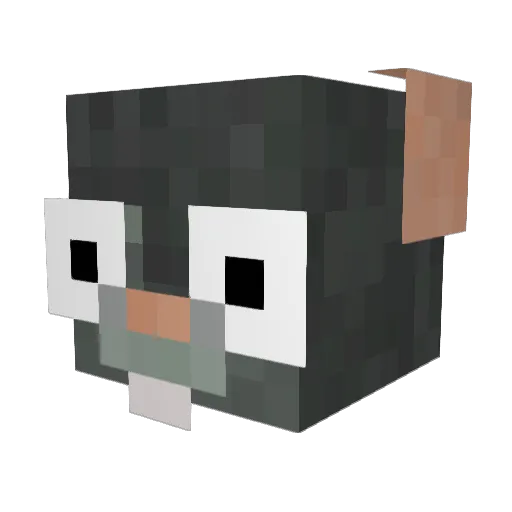 T3RRORI5T Minecraft avatar head, 3D render