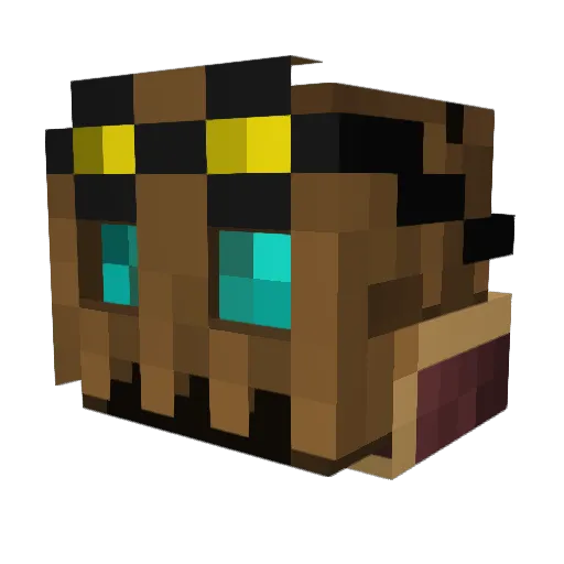 T3aBag Minecraft avatar head, 3D render