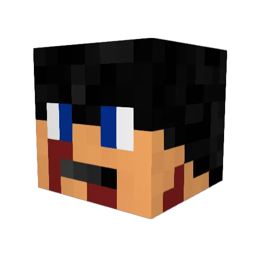 T3chN0g3n Minecraft avatar head, 3D render