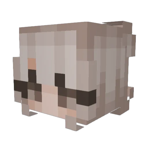 T3ddy06 Minecraft avatar head, 3D render
