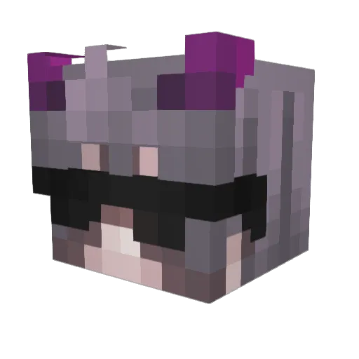 T3k3nn Minecraft avatar head, 3D render