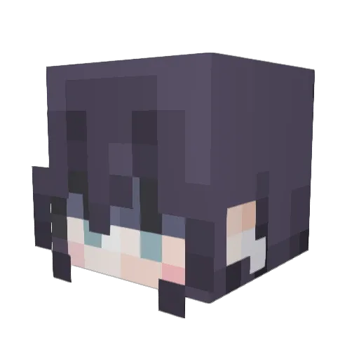 T3mp35t_Aaden Minecraft avatar head, 3D render