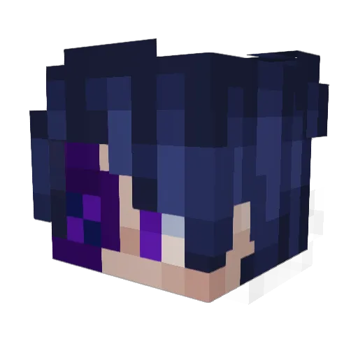 Minecraft-Avatar von T3mpest_zircon: Kopf als 3D-Render