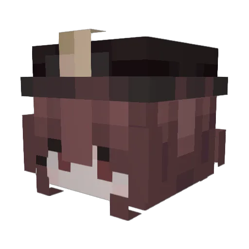 T3nty_ Minecraft avatar head, 3D render