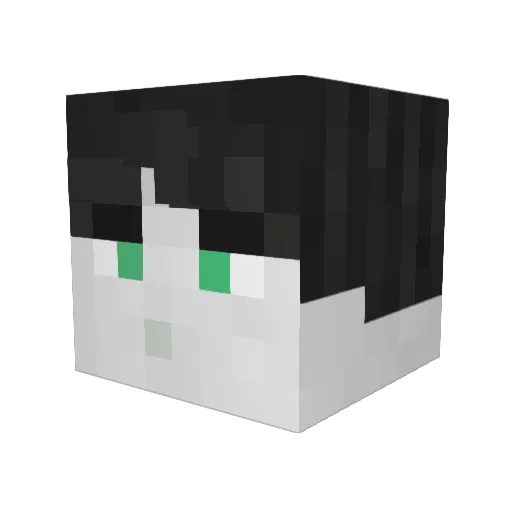 T3rr4T3rr0r Minecraft avatar head, 3D render
