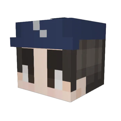 T3slaTV Minecraft avatar head, 3D render