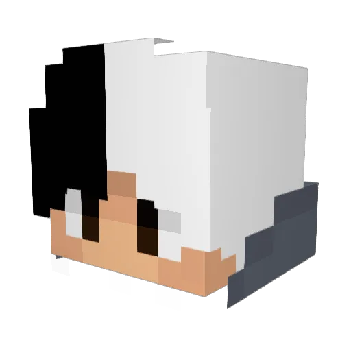 T4LZIN_1 Minecraft avatar head, 3D render