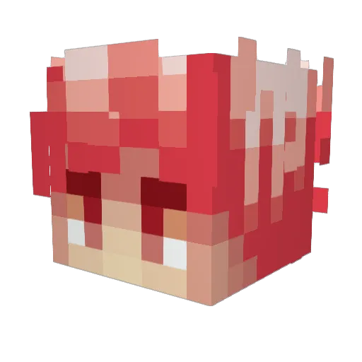 T4M1SITO Minecraft avatar head, 3D render