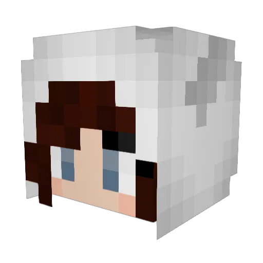 T4M4R4 Minecraft avatar head, 3D render