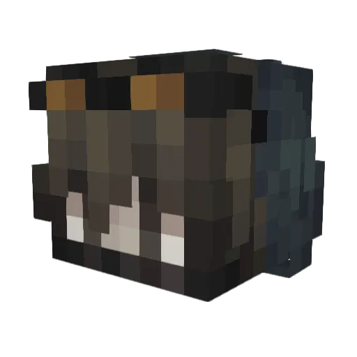 T4MNE Minecraft avatar head, 3D render
