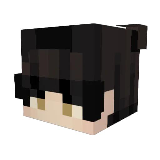 T4N098 Minecraft avatar head, 3D render