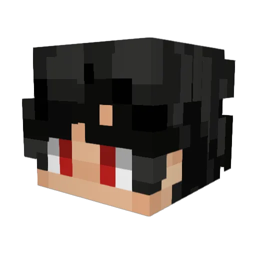 T4N_T Minecraft avatar head, 3D render