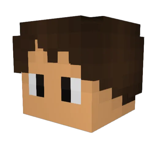 T4RAN Minecraft avatar head, 3D render