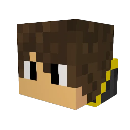 T4Y10 Minecraft avatar head, 3D render