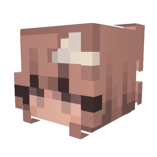 T4_Taha Minecraft avatar head, 3D render