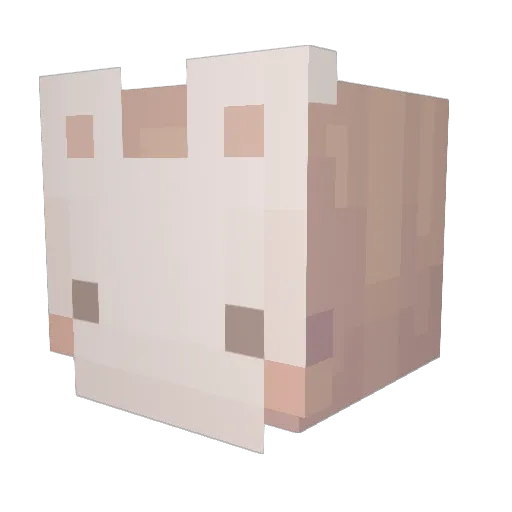 T4br1s Minecraft avatar head, 3D render