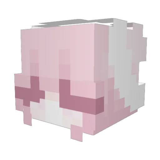 T4ffy_jr Minecraft avatar head, 3D render