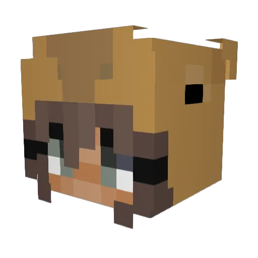 T4ng3rini Minecraft avatar head, 3D render