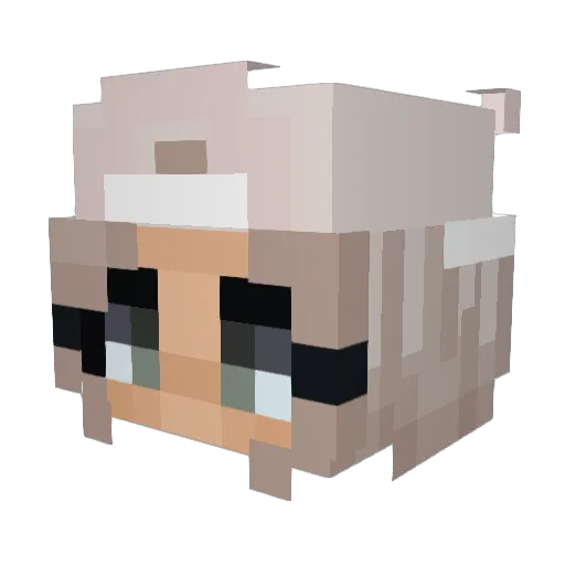 T4squared Minecraft avatar head, 3D render